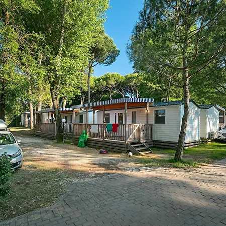 Albatross Mobile Homes On Laguna Village
